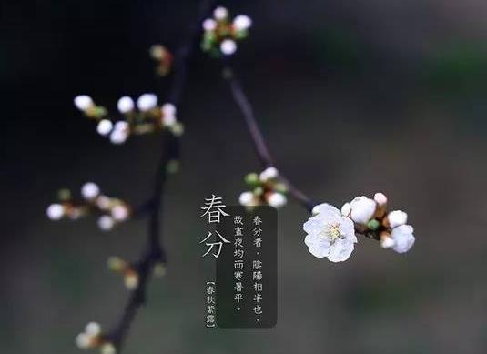 2022春分過(guò)后天氣多久變暖?2022年春分祭祀要放鞭炮嗎