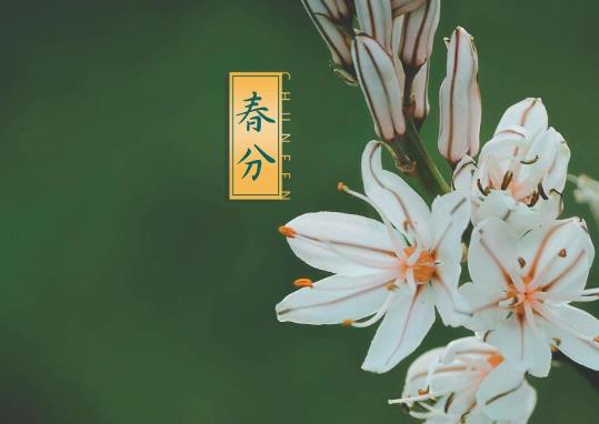 2022春分過(guò)后天氣多久變暖?2022年春分祭祀要放鞭炮嗎