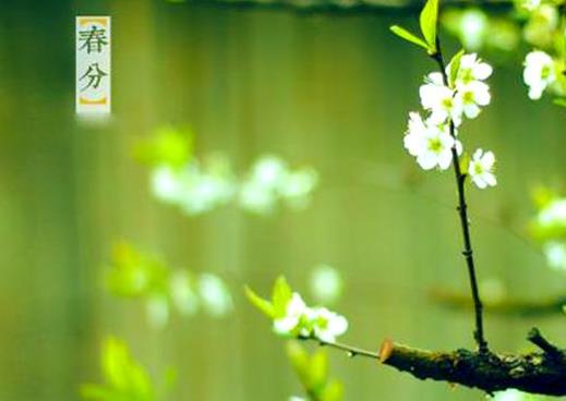 2022年春分那天結(jié)婚好不好?春分前后搬家要注意什么