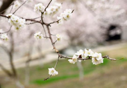 立春前后出門好不好?2022年2月4日幾點(diǎn)打春