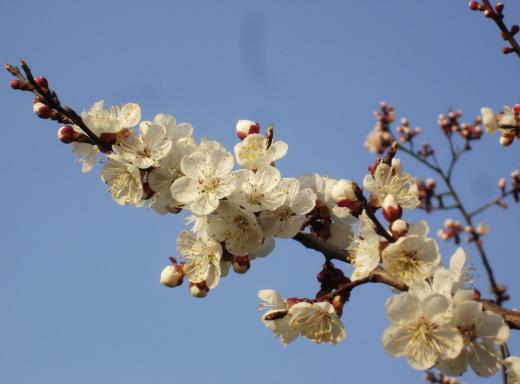 立春前后出門好不好?2022年2月4日幾點(diǎn)打春