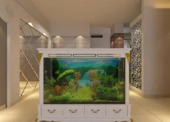 魚缸養(yǎng)螃蟹水位多深最好?魚缸放陽臺上好不好