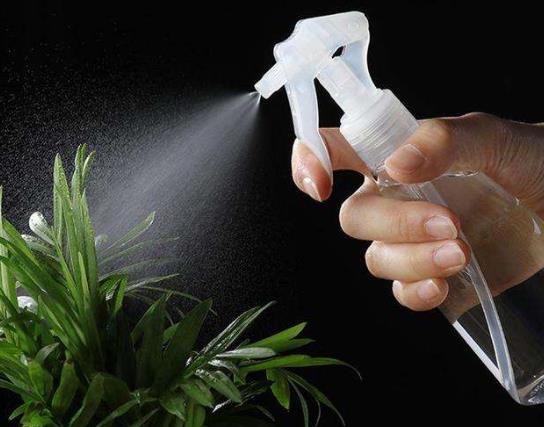什么花可以用涼開(kāi)水澆?黃豆水澆花是不是什么花都可以澆
