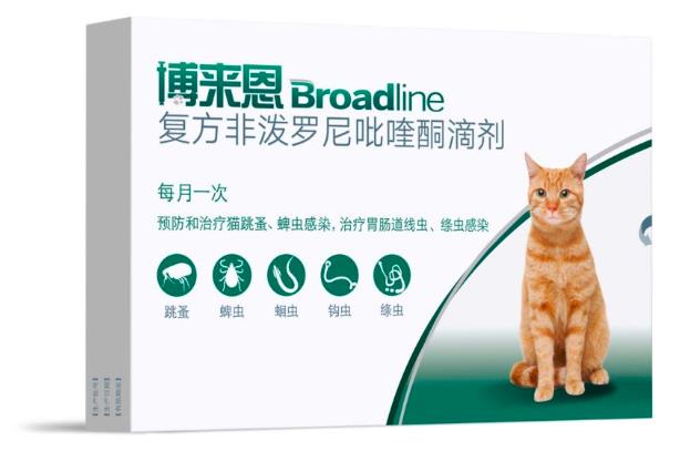 為什么要空腹給貓?bào)w內(nèi)驅(qū)蟲?