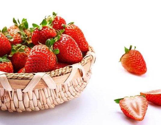 草莓秧子為什么爛根?草莓苗什么時候栽種成活率高