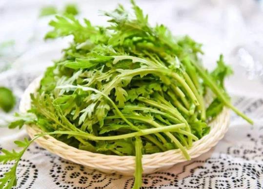 茼蒿種子怎么播種發(fā)芽快?茼蒿啥時候種成活率高