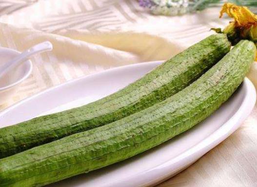 給絲瓜種子催芽哪些是要注意的?養(yǎng)絲瓜要注意什么