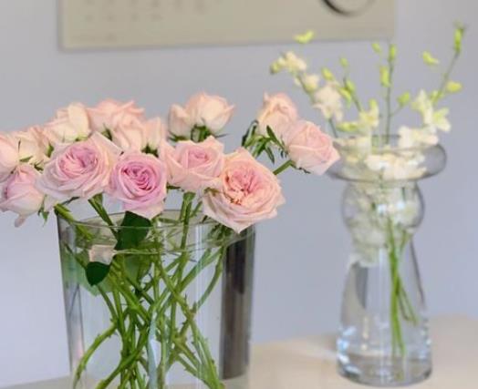醒花后期怎么養(yǎng)護(hù)?鮮花醒花步驟