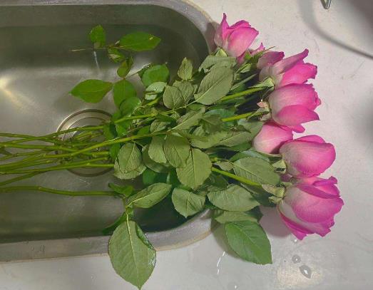醒花后期怎么養(yǎng)護(hù)?鮮花醒花步驟