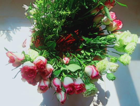 醒花沒(méi)剪根怎么辦?醒花可以用河水嗎