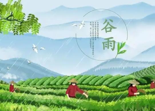 谷雨前后種什么農(nóng)作物?2022年谷雨是哪一天