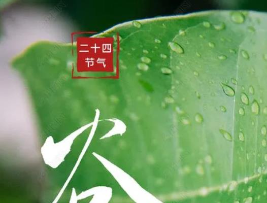 2022年谷雨是幾月幾日幾時(shí)幾秒?2022年谷雨節(jié)氣天氣有什么變化