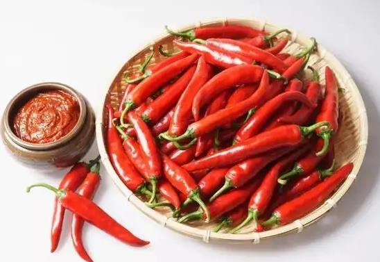 養(yǎng)辣椒老樁哪些是要注意的?辣椒苗怎么施肥長得快