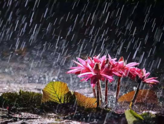 2022蘇州梅雨季節(jié)什么時(shí)候開(kāi)始?2022年蘇州有梅雨季節(jié)嗎