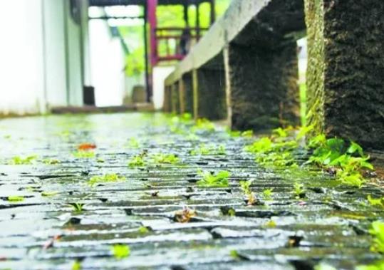 2022蘇州梅雨季節(jié)什么時(shí)候開(kāi)始?2022年蘇州有梅雨季節(jié)嗎