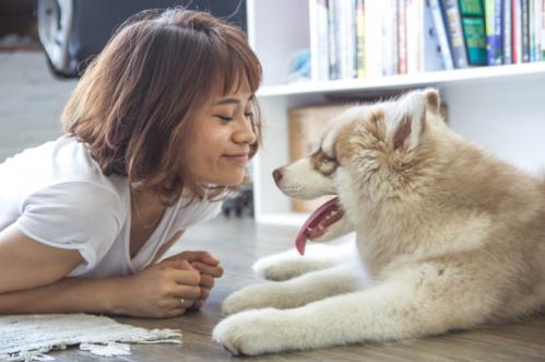 愛寵一族必看,家里放點(diǎn)什么有效驅(qū)蟲?