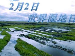 2月2日是什么節(jié)日？世界濕地日是幾月幾日
