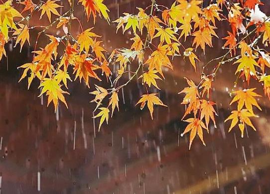 寒衣節(jié)上墳是上午還是下午?寒衣節(jié)上墳帶什么?