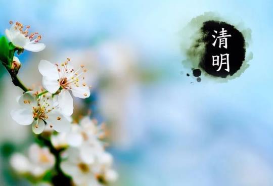 清明節(jié)前后結(jié)婚有啥講究沒?清明節(jié)前結(jié)婚好還是清明節(jié)后好?