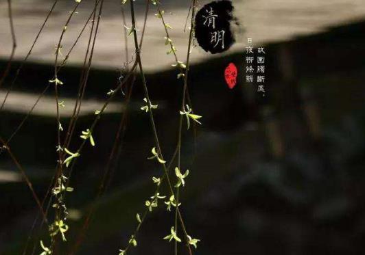 清明上墳?zāi)灭z頭的個數(shù)有講究嗎?上墳用的饅頭必須是圓形的嗎