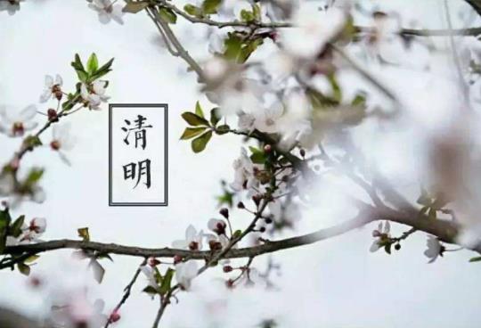 2022年清明立碑還是三周年立碑?清明節(jié)掃墓是不是要分長(zhǎng)幼