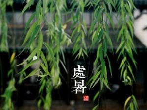 處暑是什么意思？處暑養(yǎng)生注意事項