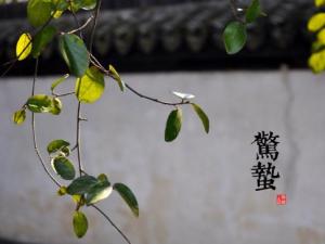@Uʲôr򣿶ʮĹ(ji)֮@UɁcx
