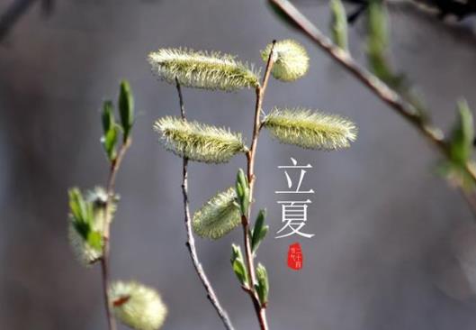 2021年立夏能剪頭發(fā)嗎?2021立夏有什么講究嗎