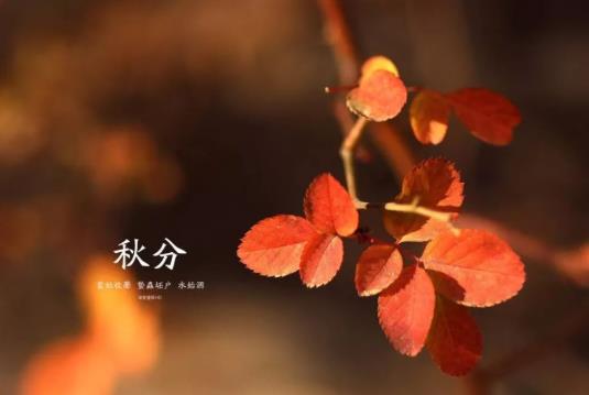 2021秋分后還會(huì)熱多久?2021秋分雨水多還是少?