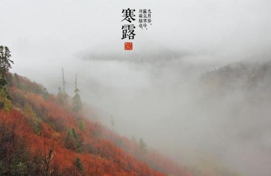 寒露是第幾個節(jié)氣?寒露有什么風俗習慣?