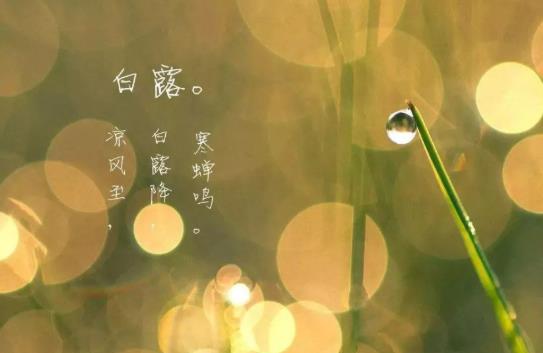 白露什么意思?白露過(guò)了天氣就冷了嗎?
