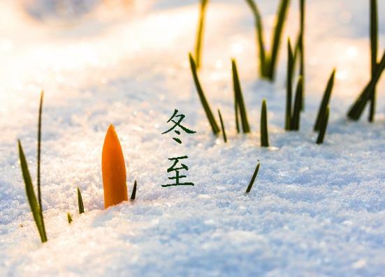 冬至吃餃子是為了紀念哪位醫(yī)學(xué)家?冬至可以只吃一個餃子