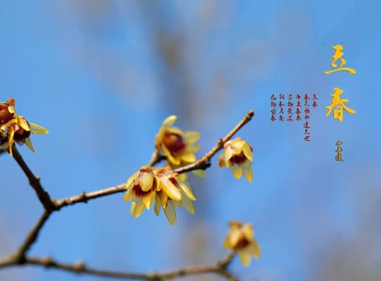 2022立春時(shí)正好在上班怎么躲春?立春之后多久才不冷了
