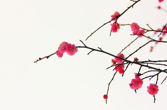 關(guān)于健康心情的話語(yǔ)說(shuō)說(shuō) 祝福身體健康的句子祝福語(yǔ)