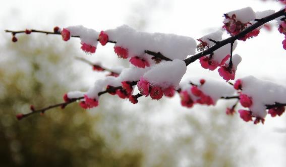 關(guān)于健康心情的話語(yǔ)說(shuō)說(shuō) 祝福身體健康的句子祝福語(yǔ)