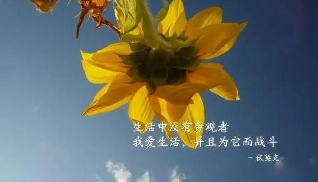 微信早安正能量有個(gè)性的說(shuō)說(shuō)語(yǔ)錄,2020最潮的勵(lì)志句子帶圖片