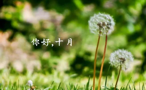 十月第一天怎么發(fā)朋友圈2021 10月第一天發(fā)朋友圈的句子2021精選