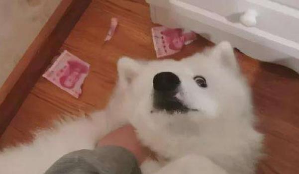 360截圖20211224111135443.jpg
