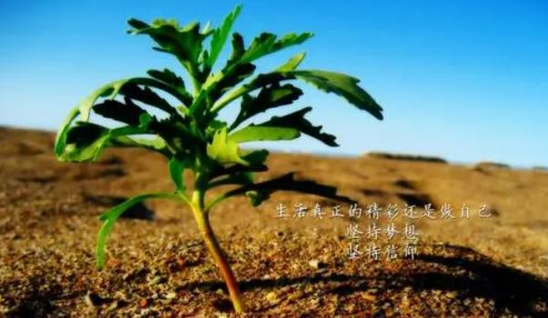 360截圖20211231120619700.jpg