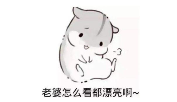 360截圖20220106164732182.jpg