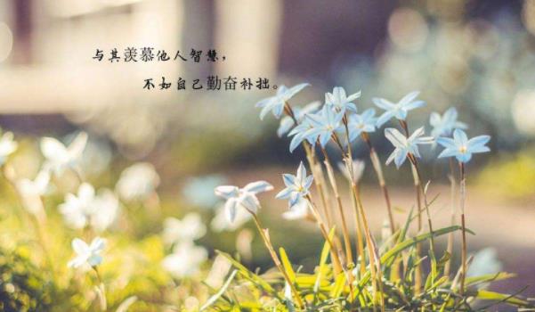 360截圖20220127182835014.jpg