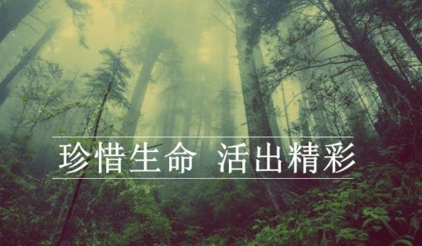 360截圖20220303112325085.jpg
