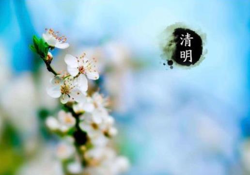 清明節(jié)掃墓要用鮮花好還是塑料花好?2021年清明節(jié)幾號遷墳好