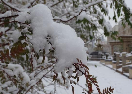 下雪天開車用前驅(qū)好還是后驅(qū)好?新手冰雪天氣行車駕駛技巧