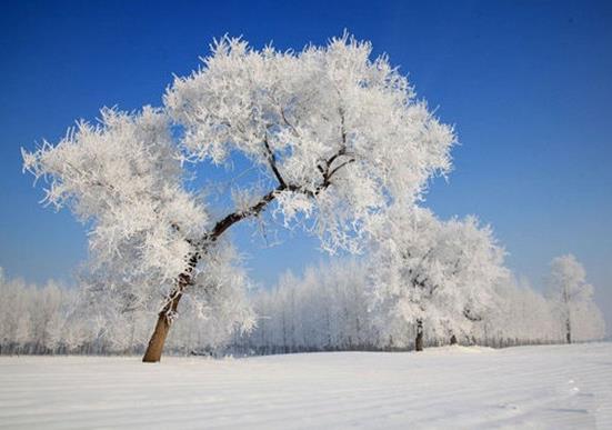 下雪天車(chē)停在外面的怎么辦?下雪天車(chē)子蓋什么合適?