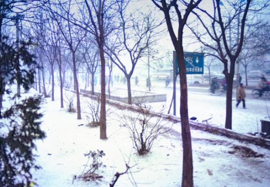 下雪天車(chē)停在外面的怎么辦?下雪天車(chē)子蓋什么合適?