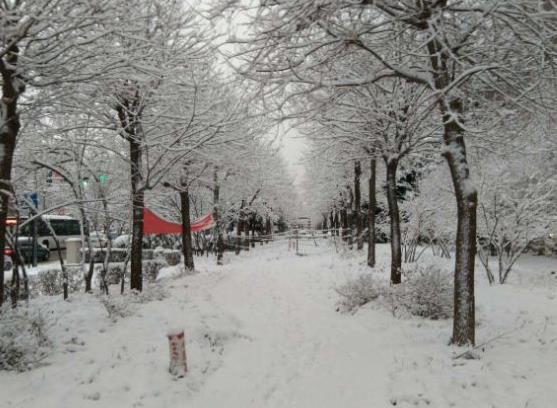 下雪天車(chē)停在外面的怎么辦?下雪天車(chē)子蓋什么合適?