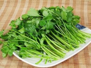 孕婦能不能吃香菜？孕婦可以吃香菜嗎