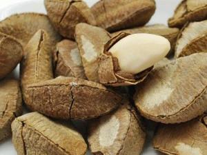 孕婦可以吃鮑魚(yú)果嗎？孕婦吃鮑魚(yú)果的食用禁忌