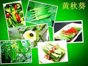孕婦能吃黃秋葵嗎？孕婦吃黃秋葵有什么好處